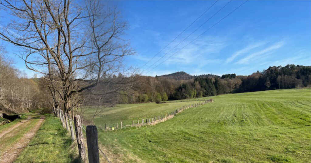 MARCHE d&rsquo;environ 8 km