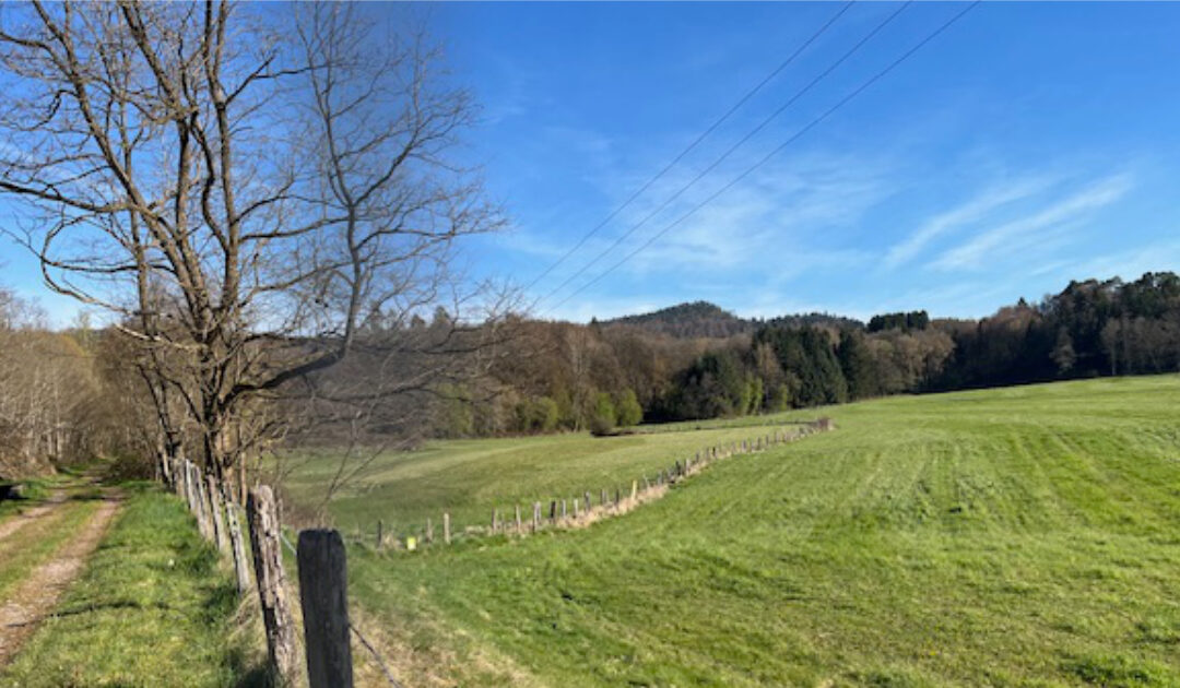 MARCHE d&rsquo;environ 8 km
